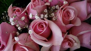Preview wallpaper roses, flowers, pink, gypsophila, bouquet, buds