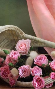 Preview wallpaper roses, flowers, pink, shopping, statue, cloth