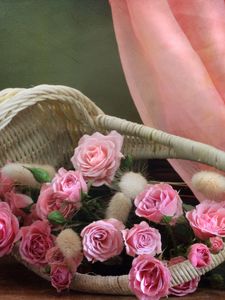 Preview wallpaper roses, flowers, pink, shopping, statue, cloth