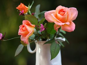 Preview wallpaper roses, flowers, pitcher, blurring