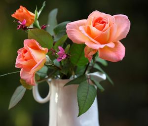 Preview wallpaper roses, flowers, pitcher, blurring