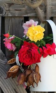 Preview wallpaper roses, flowers, seeds, watering, fence