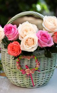 Preview wallpaper roses, flowers, shopping, song, beautifully