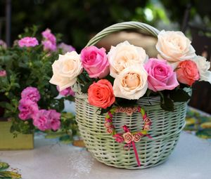 Preview wallpaper roses, flowers, shopping, song, beautifully