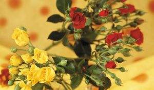 Preview wallpaper roses, flowers, shrub, red, yellow, blurring