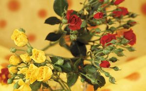 Preview wallpaper roses, flowers, shrub, red, yellow, blurring