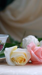 Preview wallpaper roses, flowers, tea, marshmallows, romance