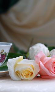 Preview wallpaper roses, flowers, tea, marshmallows, romance