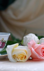 Preview wallpaper roses, flowers, tea, marshmallows, romance