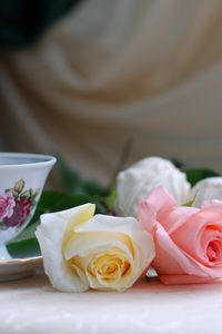 Preview wallpaper roses, flowers, tea, marshmallows, romance