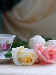 Preview wallpaper roses, flowers, tea, marshmallows, romance