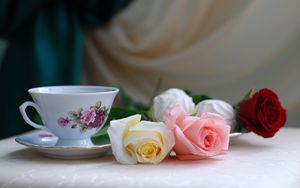 Preview wallpaper roses, flowers, tea, marshmallows, romance