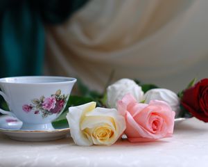 Preview wallpaper roses, flowers, tea, marshmallows, romance