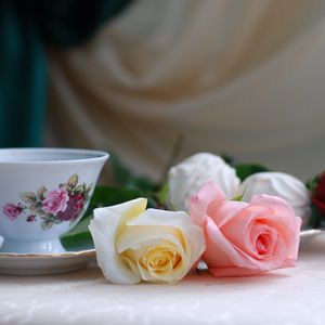 Preview wallpaper roses, flowers, tea, marshmallows, romance