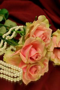 Preview wallpaper roses, flowers, three, reflection, beads, pearls
