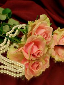 Preview wallpaper roses, flowers, three, reflection, beads, pearls