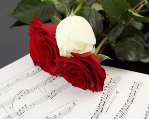 Preview wallpaper roses, flowers, three, notes, music