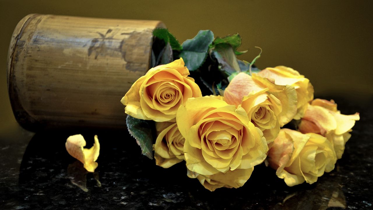 Wallpaper roses, flowers, vase, surface, leaves, yellow
