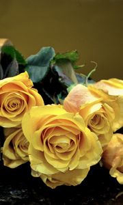 Preview wallpaper roses, flowers, vase, surface, leaves, yellow