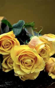 Preview wallpaper roses, flowers, vase, surface, leaves, yellow