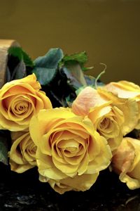 Preview wallpaper roses, flowers, vase, surface, leaves, yellow