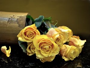 Preview wallpaper roses, flowers, vase, surface, leaves, yellow