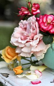 Preview wallpaper roses, flowers, vase, petals, table, blurring