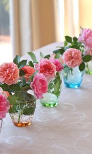 Preview wallpaper roses, flowers, vases, several