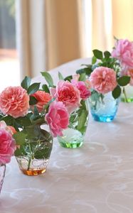 Preview wallpaper roses, flowers, vases, several