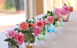 Preview wallpaper roses, flowers, vases, several