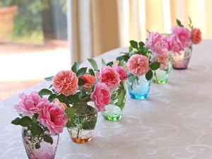 Preview wallpaper roses, flowers, vases, several