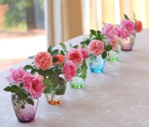Preview wallpaper roses, flowers, vases, several
