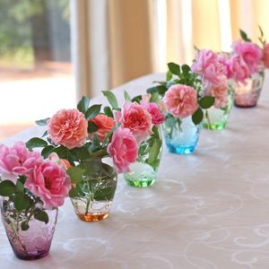 Preview wallpaper roses, flowers, vases, several