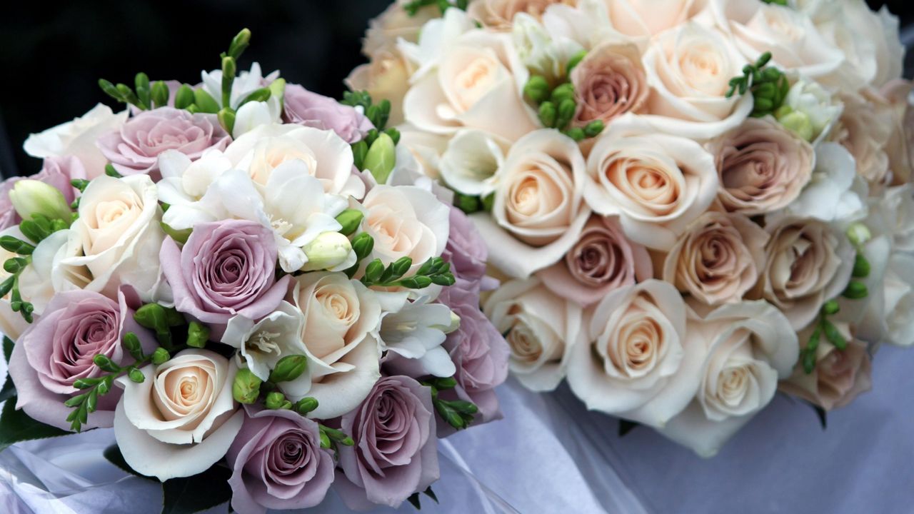 Wallpaper roses, flowers, wedding bouquets, beauty