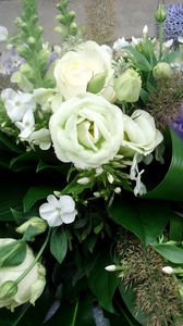 Preview wallpaper roses, flowers, white, flower, decoration, green, beauty