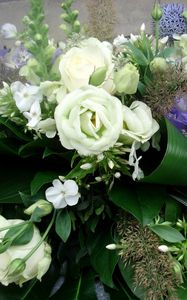 Preview wallpaper roses, flowers, white, flower, decoration, green, beauty