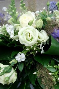 Preview wallpaper roses, flowers, white, flower, decoration, green, beauty