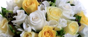 Preview wallpaper roses, flowers, white, yellow, flower, song, beautifully
