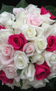 Preview wallpaper roses, flowers, white, pink, flower, leaf, design, beautifully