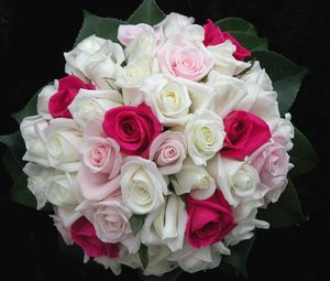 Preview wallpaper roses, flowers, white, pink, flower, leaf, design, beautifully