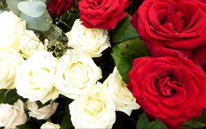 Preview wallpaper roses, flowers, white, red, gypsophila