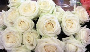 Preview wallpaper roses, flowers, white, flower, packaging