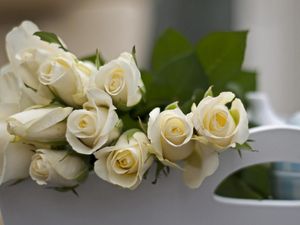 Preview wallpaper roses, flowers, white, buds, are