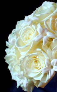 Preview wallpaper roses, flowers, white, flower, tenderness