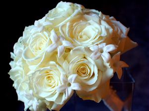 Preview wallpaper roses, flowers, white, flower, tenderness