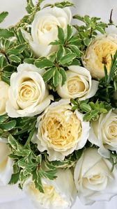 Preview wallpaper roses, flowers, white, flower, decoration