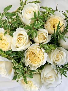 Preview wallpaper roses, flowers, white, flower, decoration