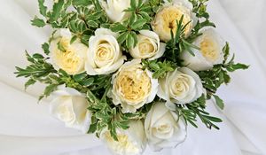 Preview wallpaper roses, flowers, white, flower, decoration