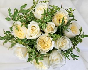 Preview wallpaper roses, flowers, white, flower, decoration