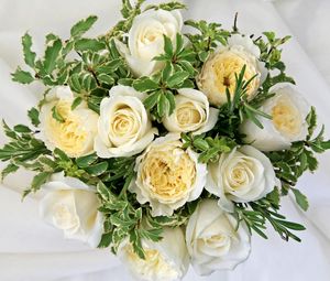 Preview wallpaper roses, flowers, white, flower, decoration